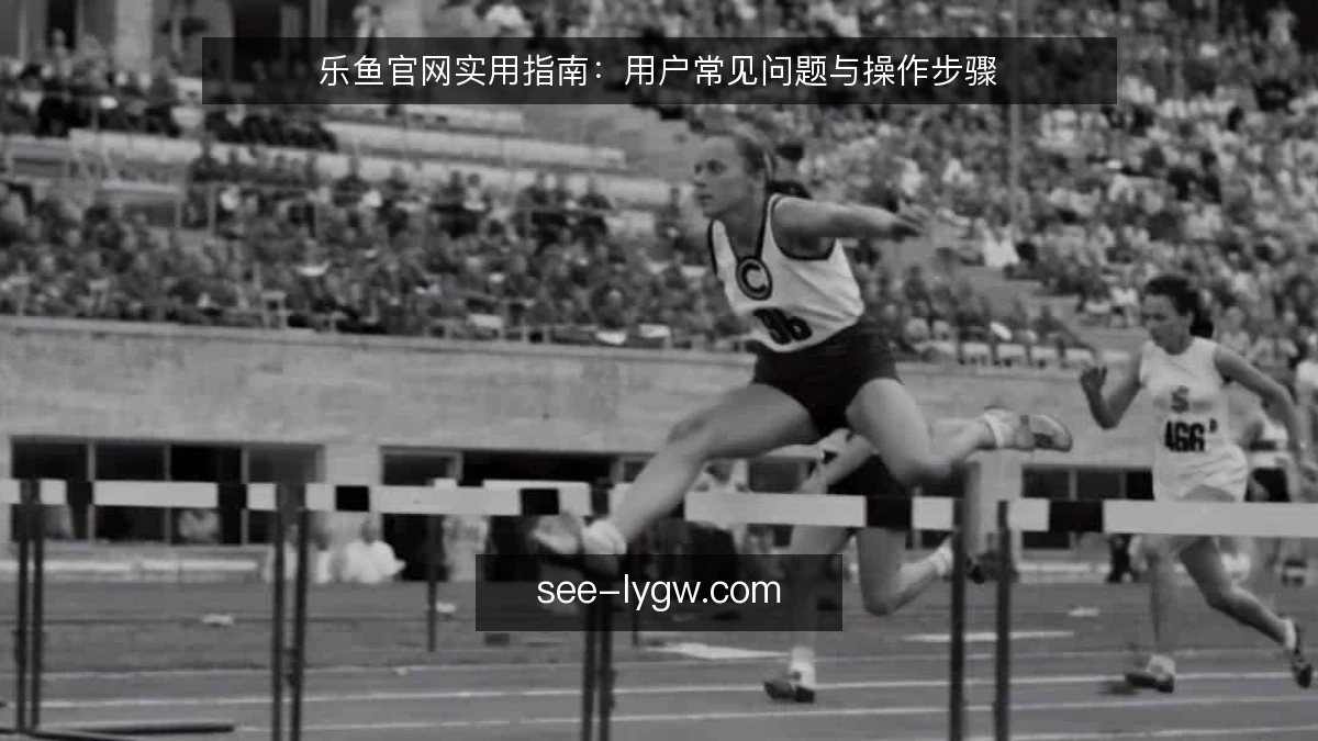 乐鱼官网实用指南：用户常见问题与操作步骤