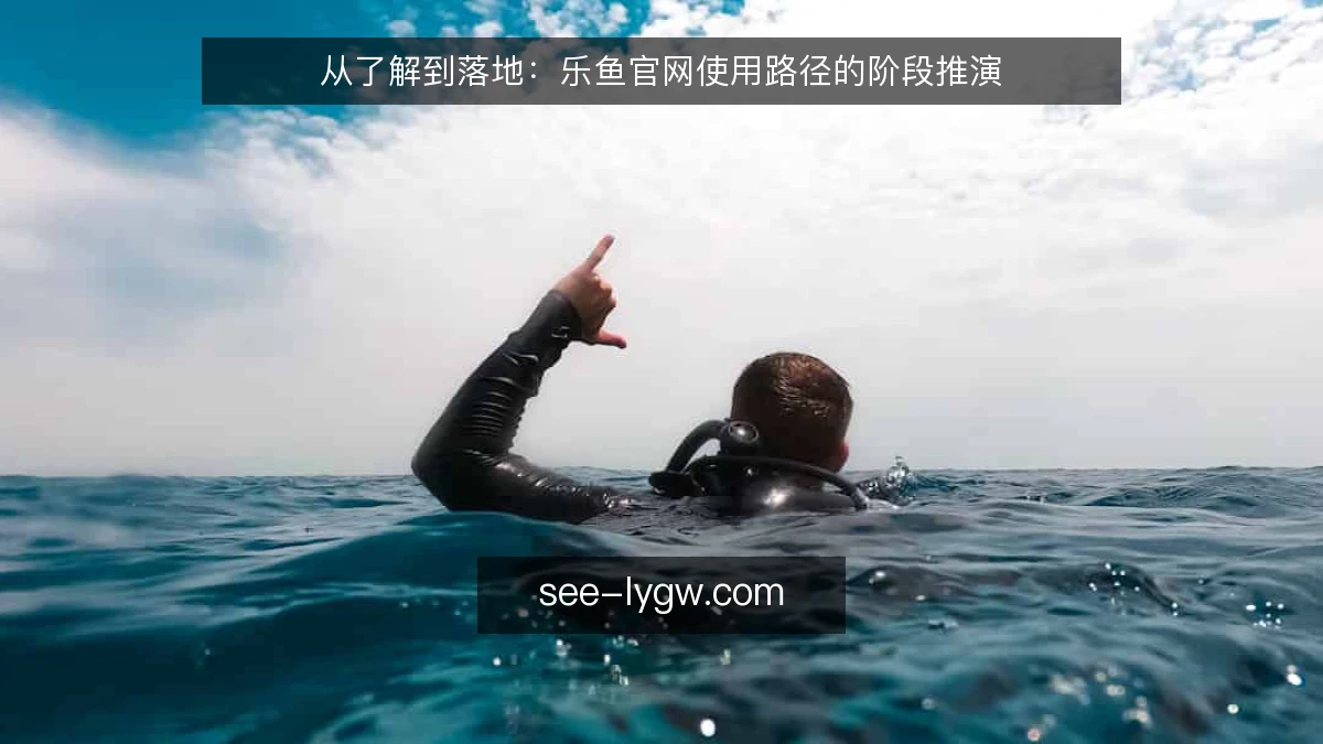 从了解到落地：乐鱼官网使用路径的阶段推演